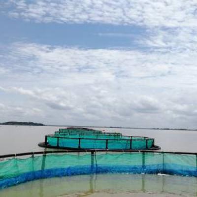 HDPE Circular Fish Farming Aquaculture Cage