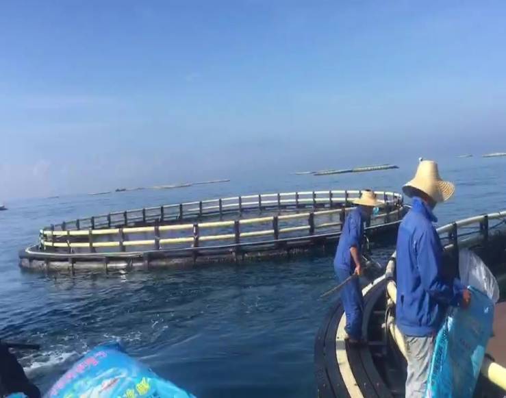 aquaculture fish cage.jpg