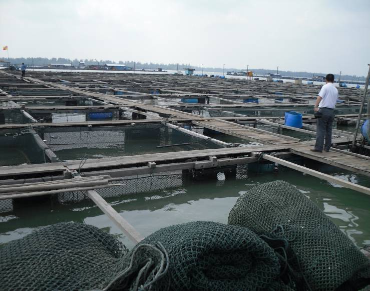 aquaculture cage.jpg