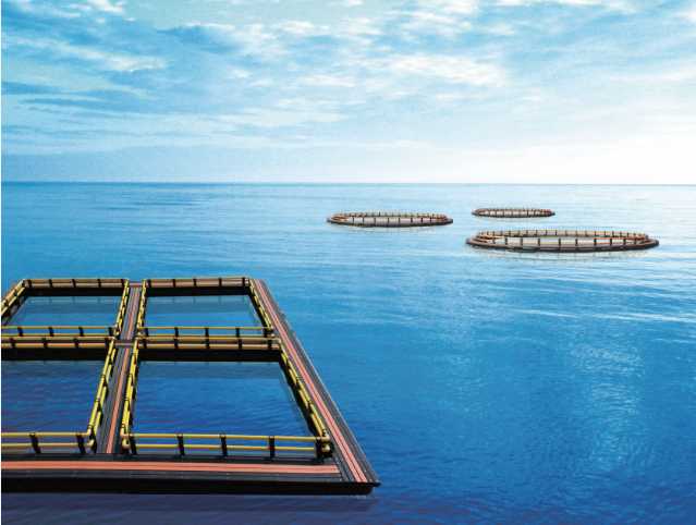 aquaculture cage net.png
