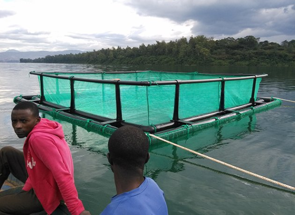 aquaculture fish cage.jpg