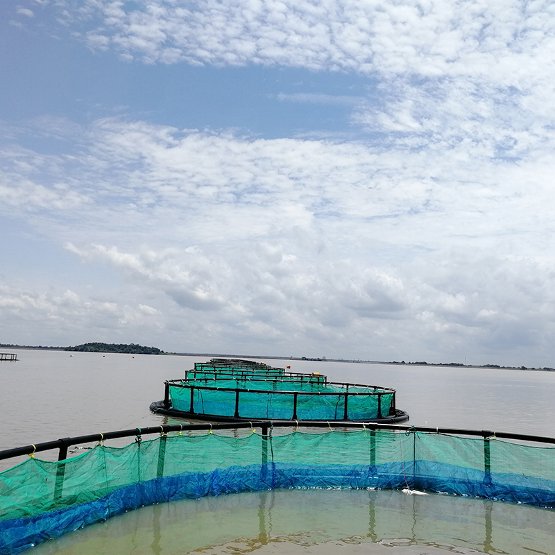 <a href=https://www.yangfanmesh.com/en/Aquaculture-Fishing-Farming-Net.html target='_blank'>aquaculture fish cage</a>.jpg