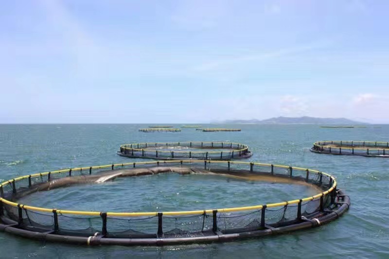 aquaculture sea cage.jpg