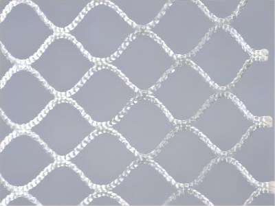 dyneema net.png