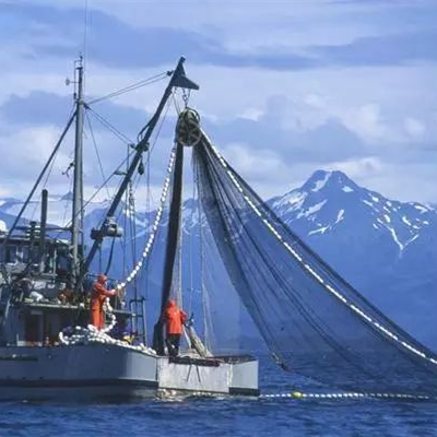 purse seine net.png